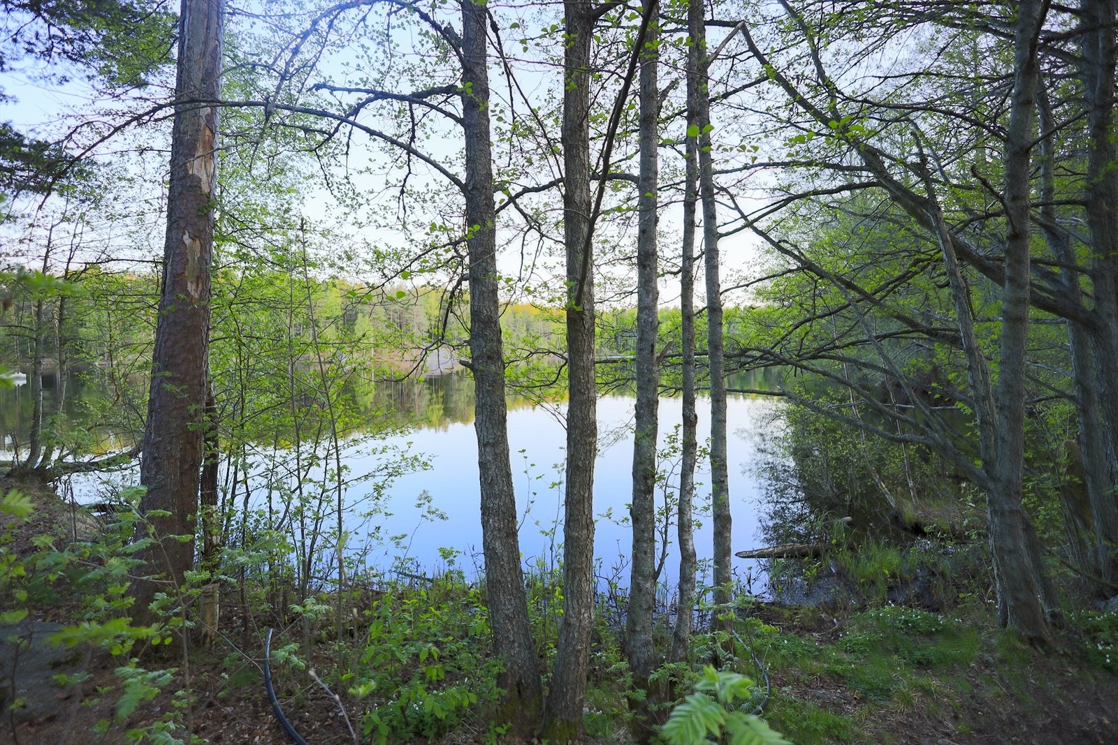 Kort vei til marka med flotte turmuligheter sommer som vinter! Galleribilde