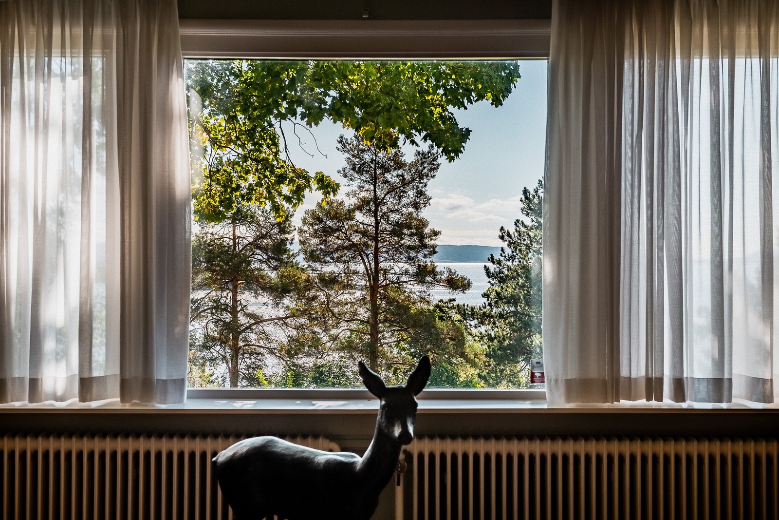 Idyllisk, frodig og grønt. Galleribilde