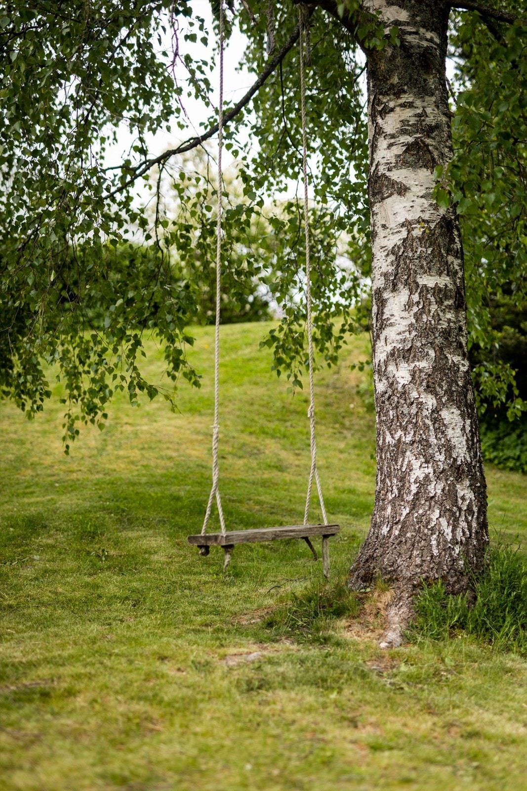 Detaljbilde Galleribilde
