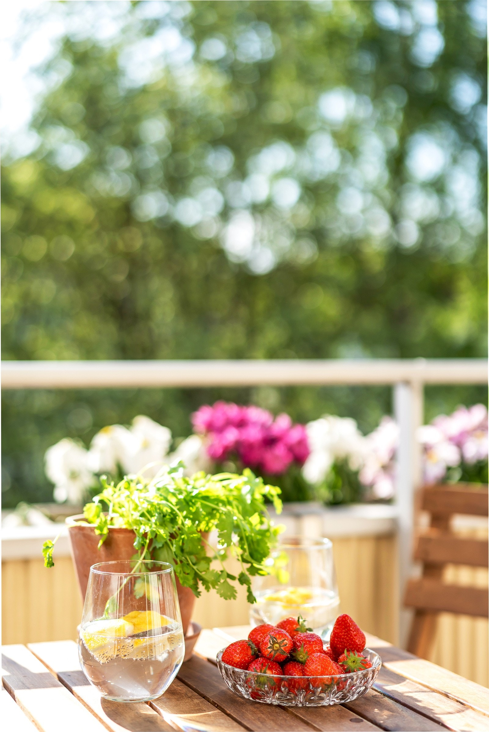 Her har du sol til langt ut på kvelden Galleribilde