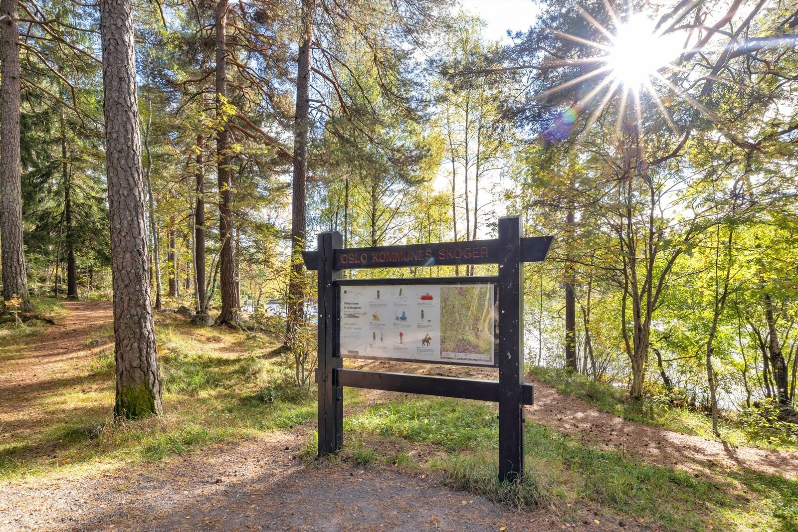 Det er ca. 3,7 km til Grefsenkollen. Herfra er det fine turveier inn mot Trollvannsstua og deilige badevann. Galleribilde