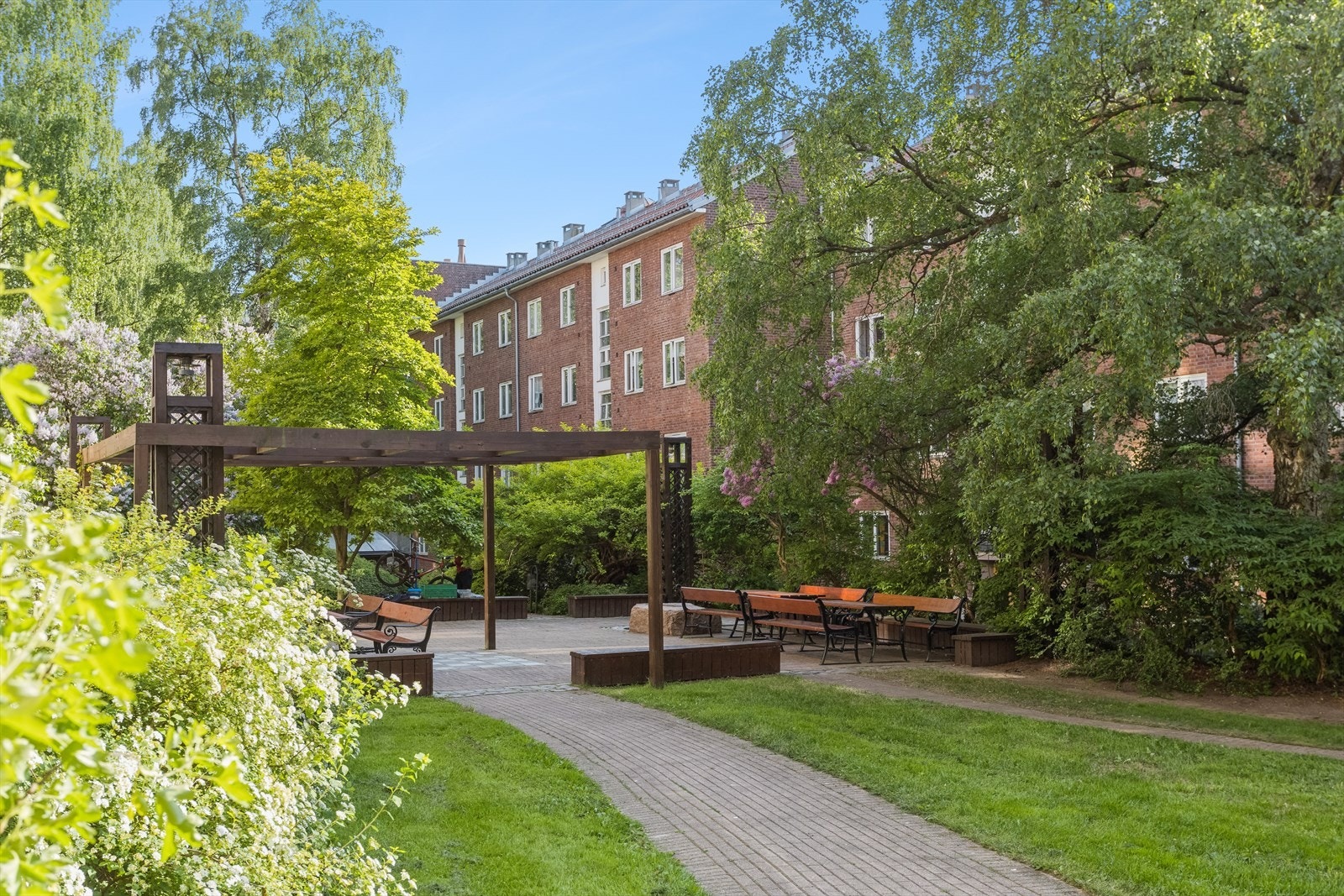 Koselig bakgård. Galleribilde