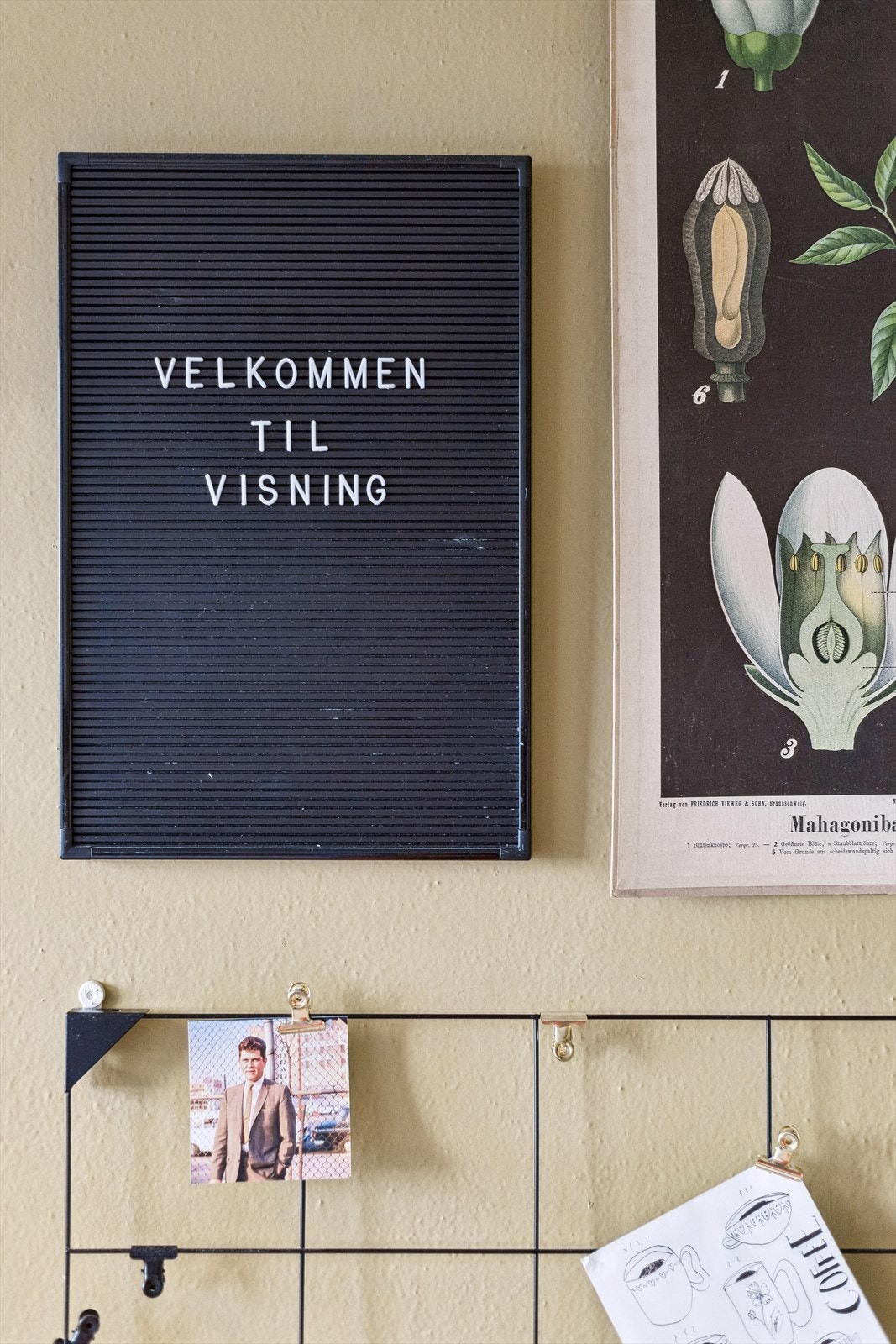Velkommen til visning! Galleribilde