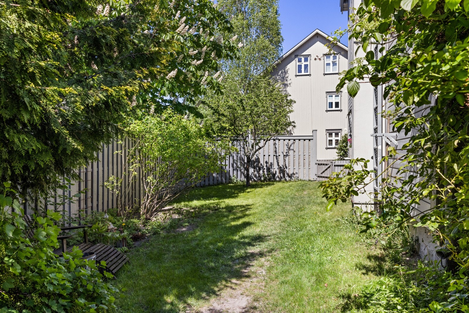 Endeleilighet i 1. etasje med frodige hage på to sider. Galleribilde