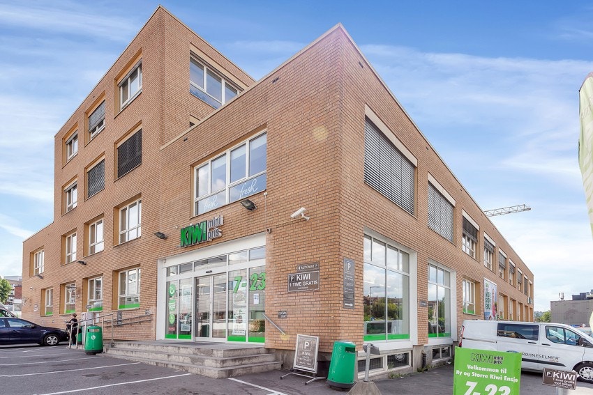 Kiwi Galleribilde