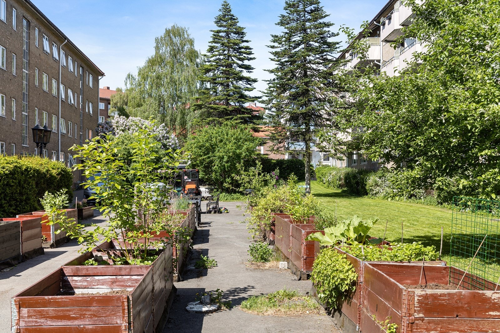 - Borettslaget har egne plantekasser for dyrking av urter og grønnsaker Galleribilde