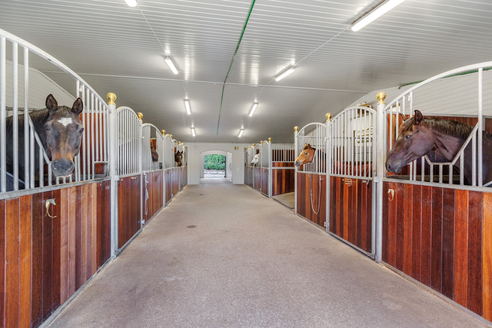 Stall med innredning i galvanisert stål og hardwood Galleribilde