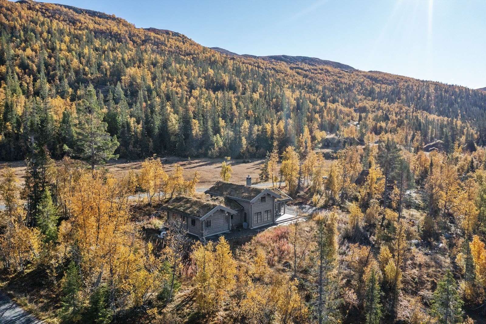 Fra hytta er det kort vei til snaufjellet og man går over tregrensa på 10-15 min. Galleribilde