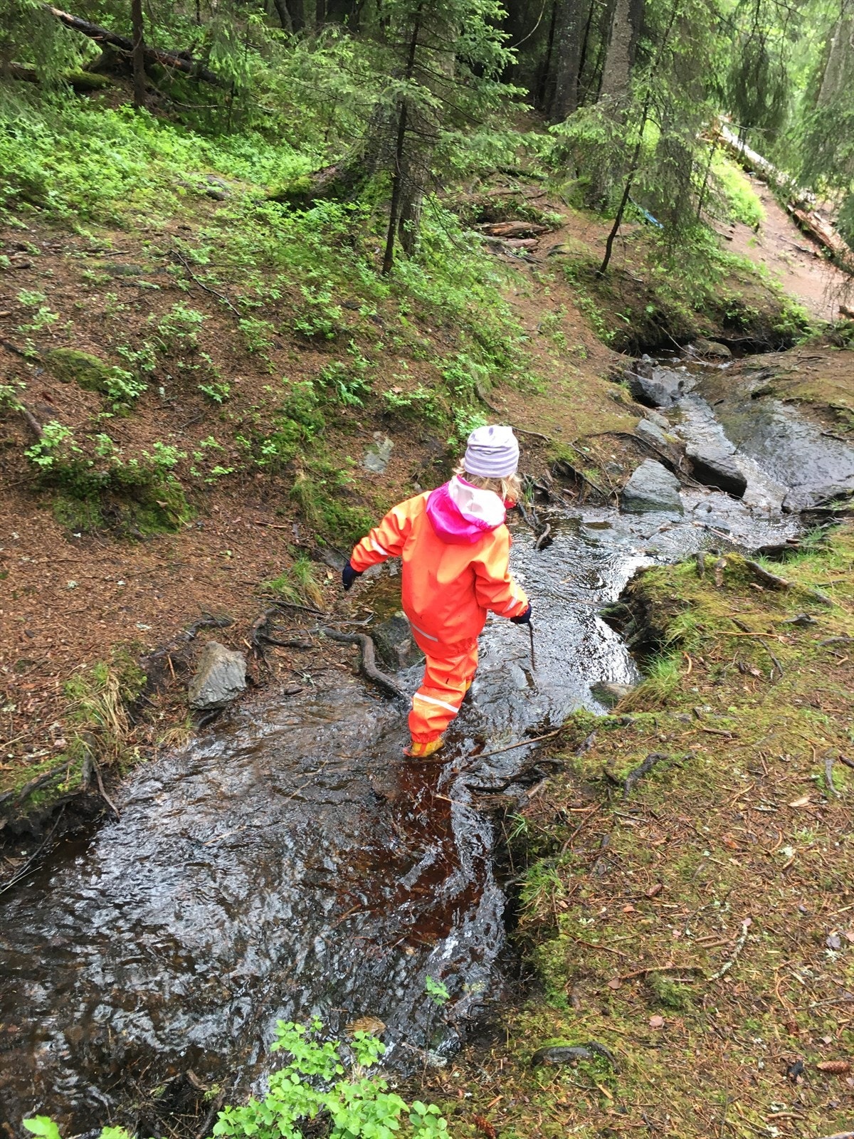 Denne bekken ligger ca 30 meter inn i skogen, men barna kan godt bruke flere timer på å utforske området. Galleribilde