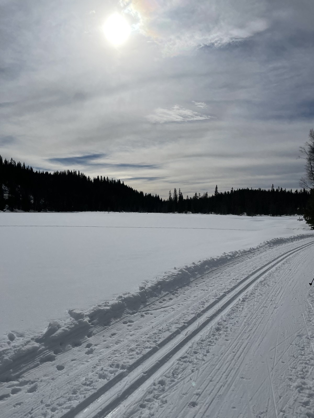 Om vinteren er det akebakke på baksiden av huset og barna kan gå rundtur på ski i fellesområdet. Galleribilde