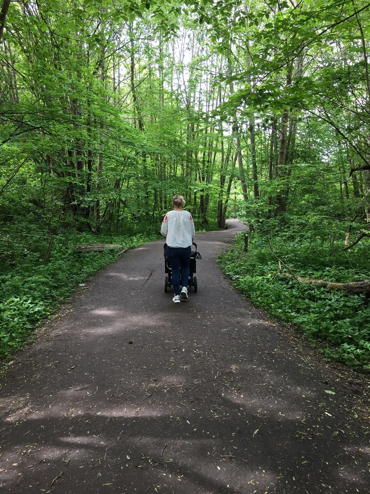 Finn roen i skogen, lytt til naturen eller sett på en spennende podkast mens du går. Galleribilde