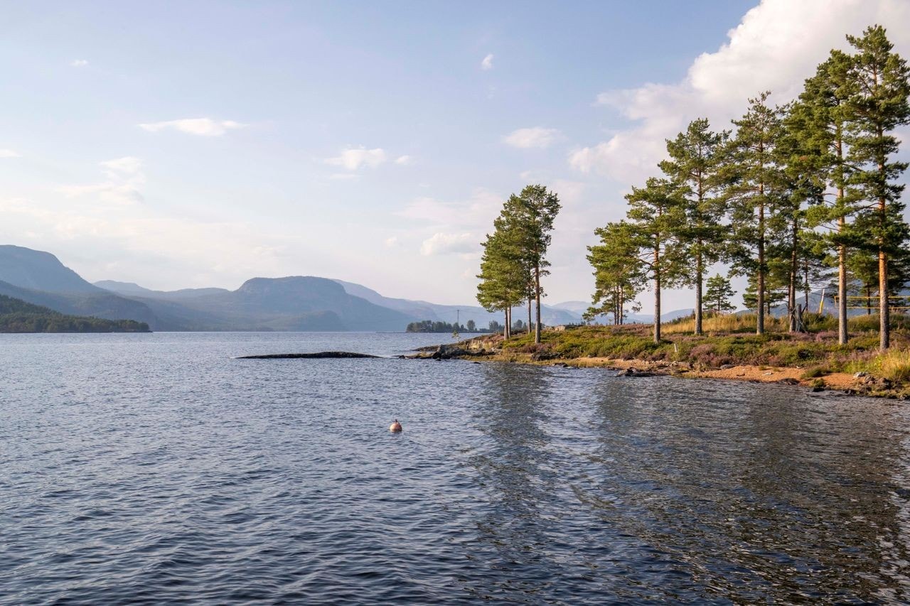 Fantastisk natur i Kyrkjebygda, Nissedal Galleribilde