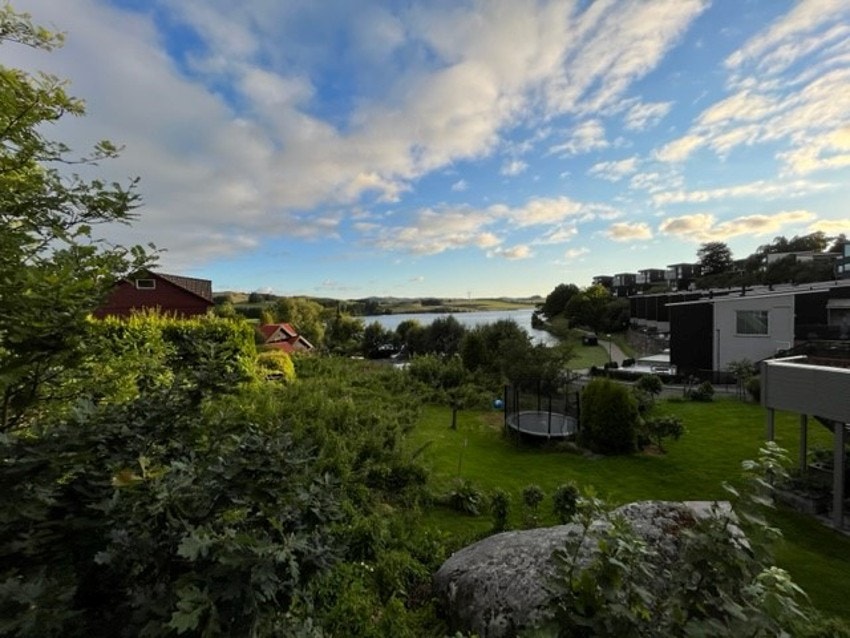 Sommerbilde fra tomten Galleribilde