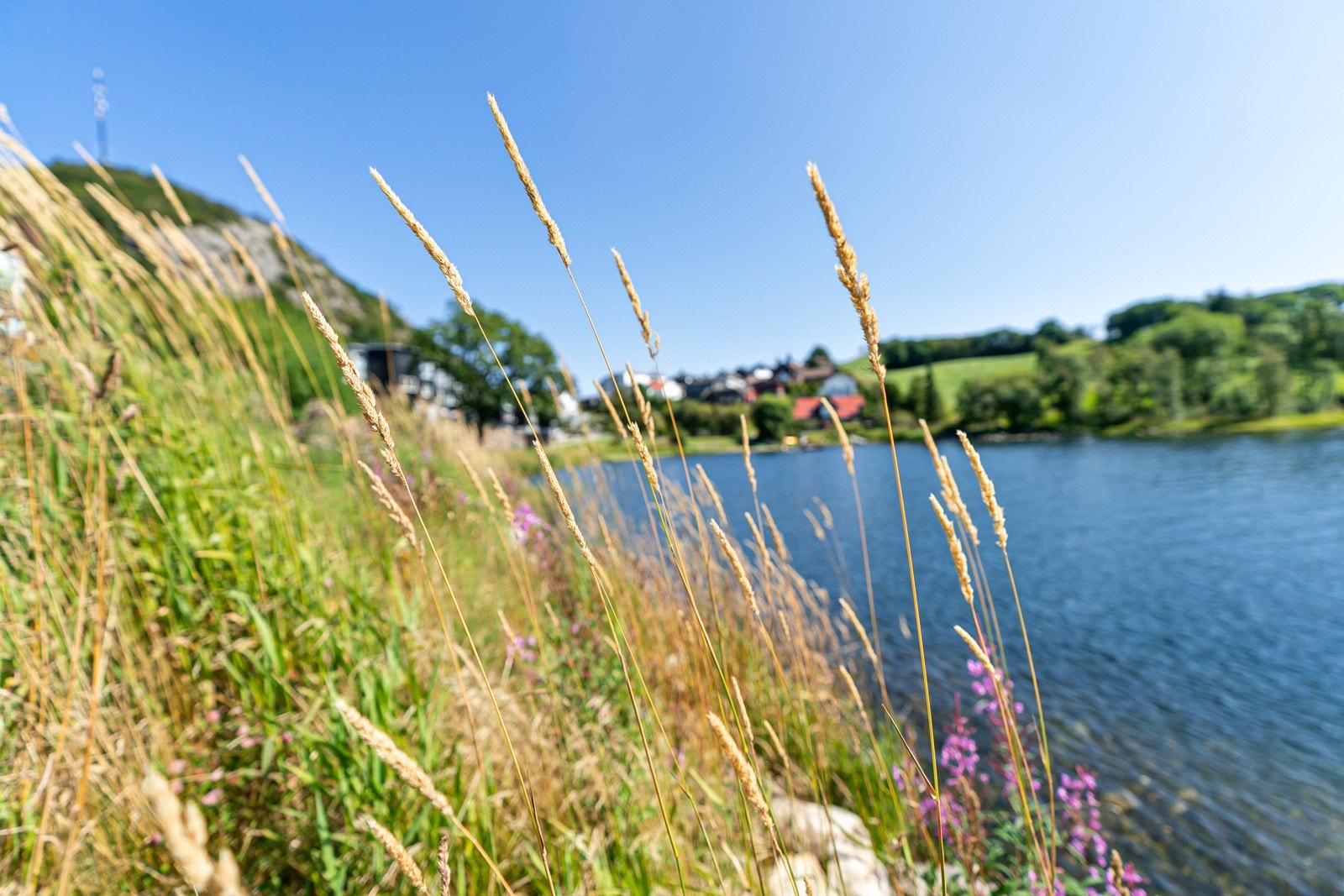 Område Galleribilde