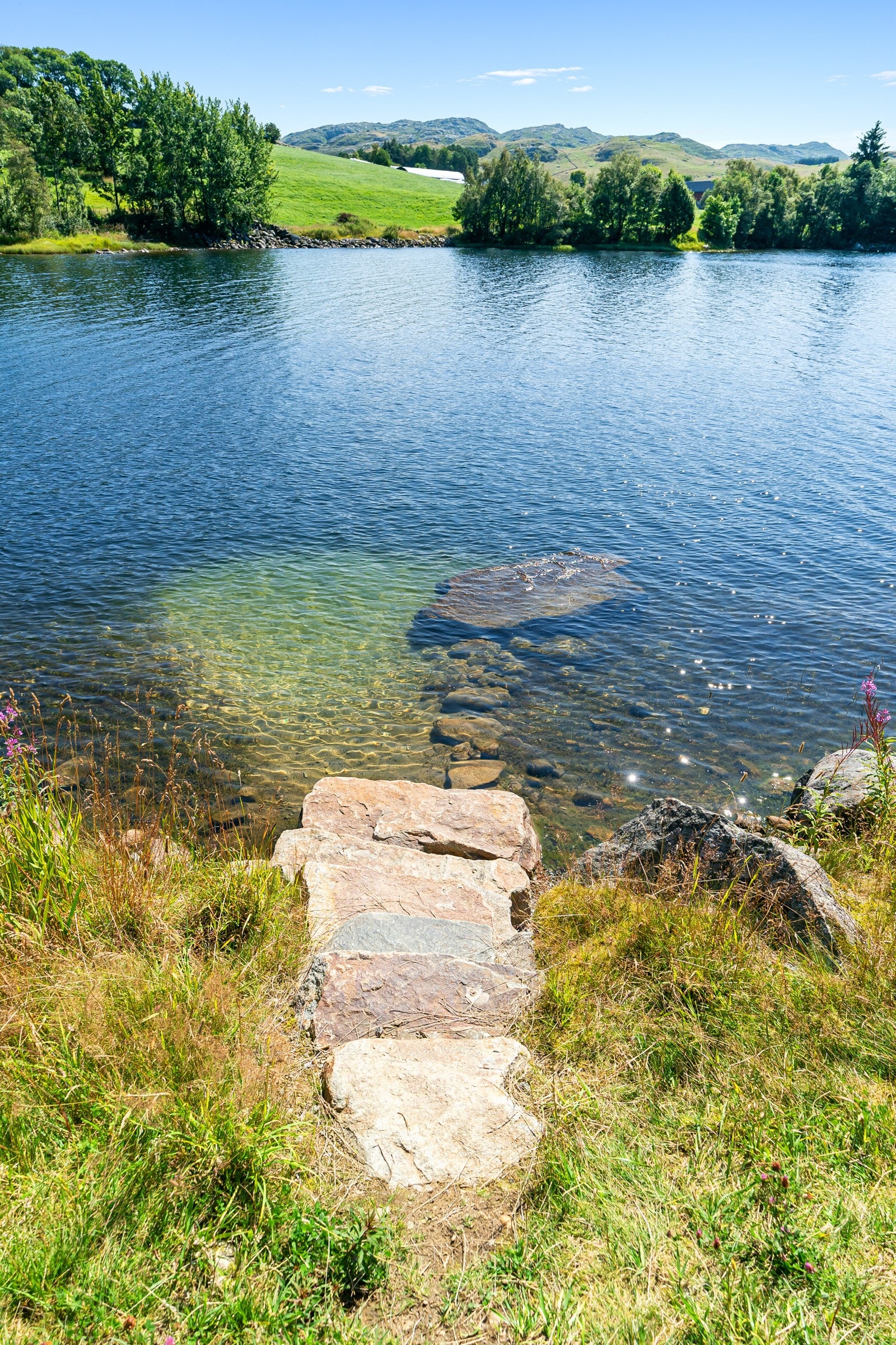 Område Galleribilde