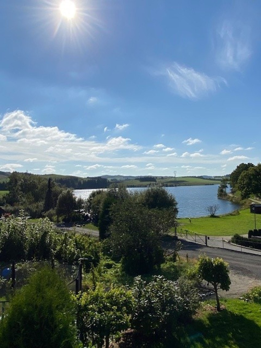 Sommerbilde fra tomten Galleribilde