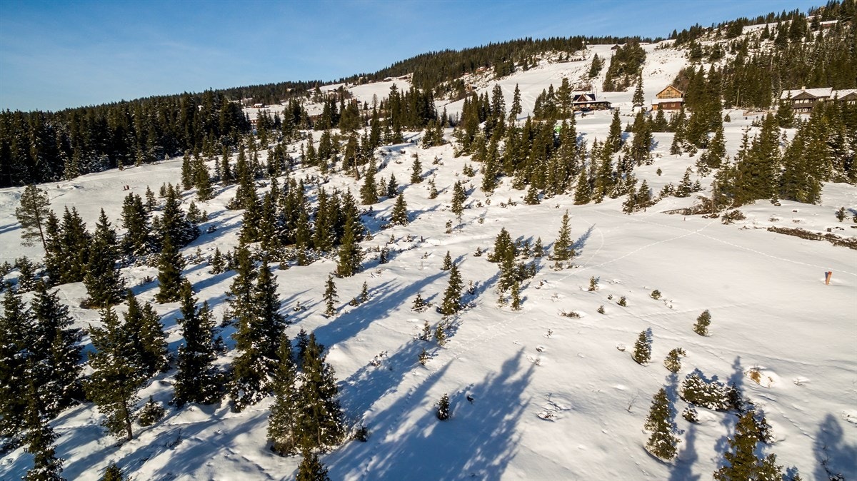 Tisleidalen byr på mange fritidsaktiviteter som passer for hele familien. Galleribilde