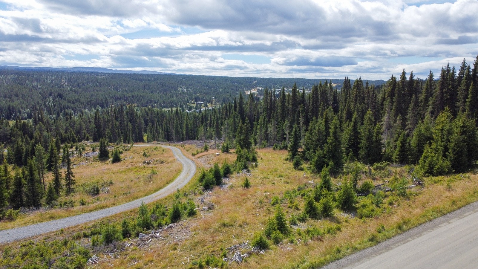 Gåavstand til nærbutikk. Ca 15 km til Leira og 35 km til Gol Galleribilde