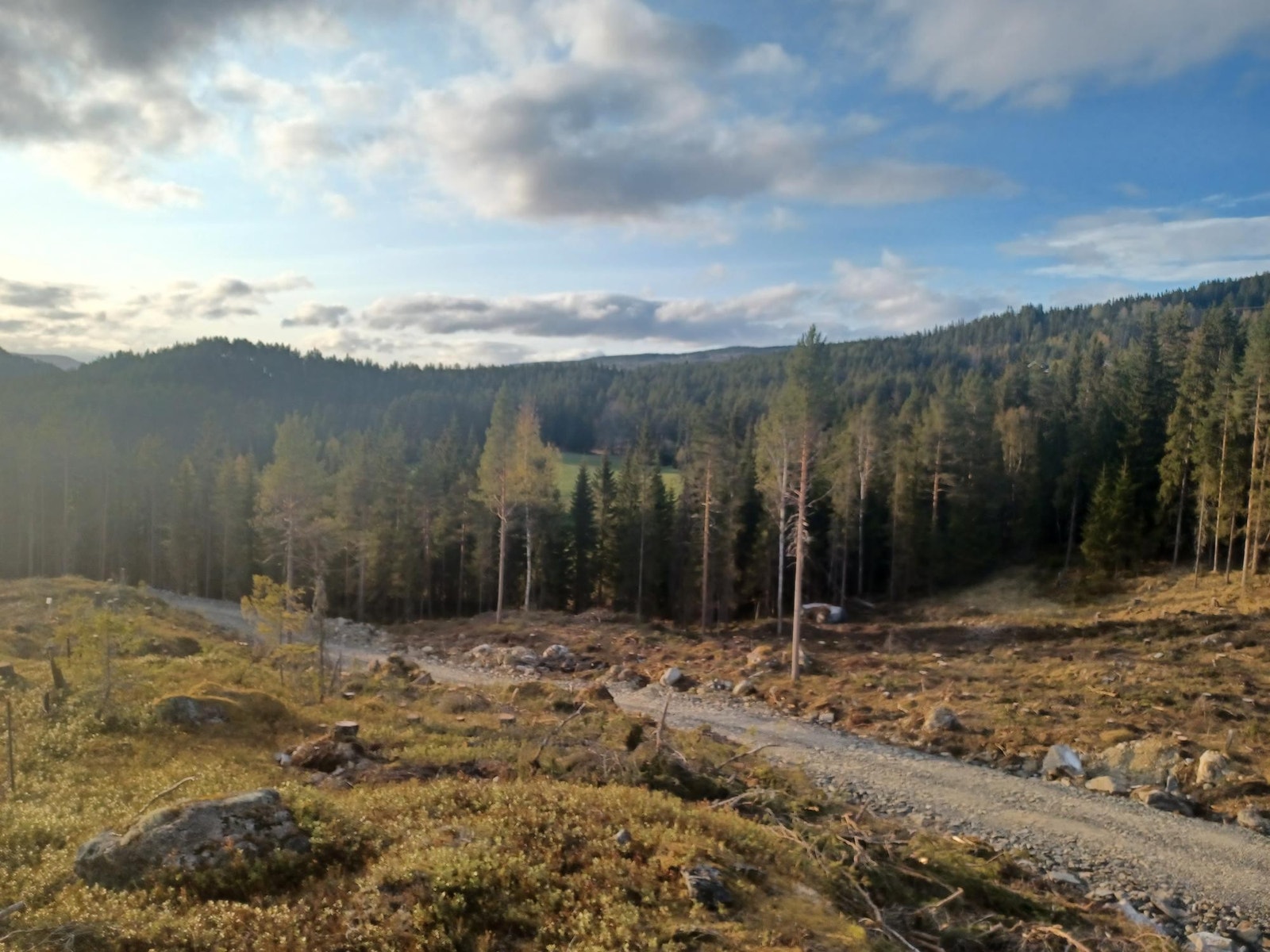 Åpent og fint, men samtidig skjermet mot vind på grunn av skog rundt. Galleribilde