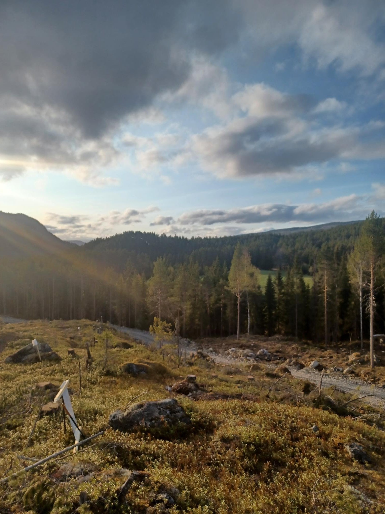 Fin utsikt og flott solnedgang Galleribilde