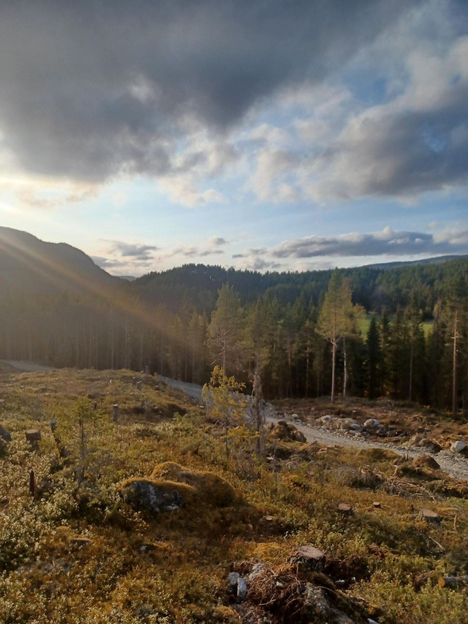 Fin utsikt mot Jotunheimen Galleribilde