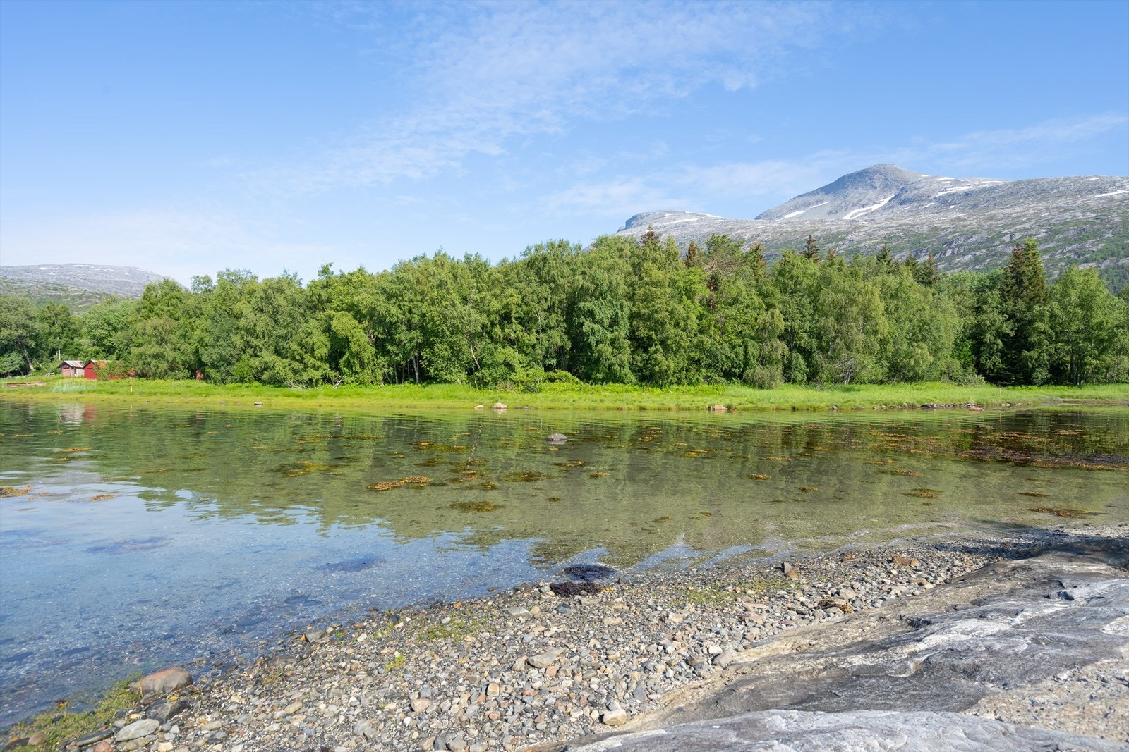 Tomten ligger i sørvestlig lett hellende terreng. I hovedsak skog og naturtomt. Galleribilde