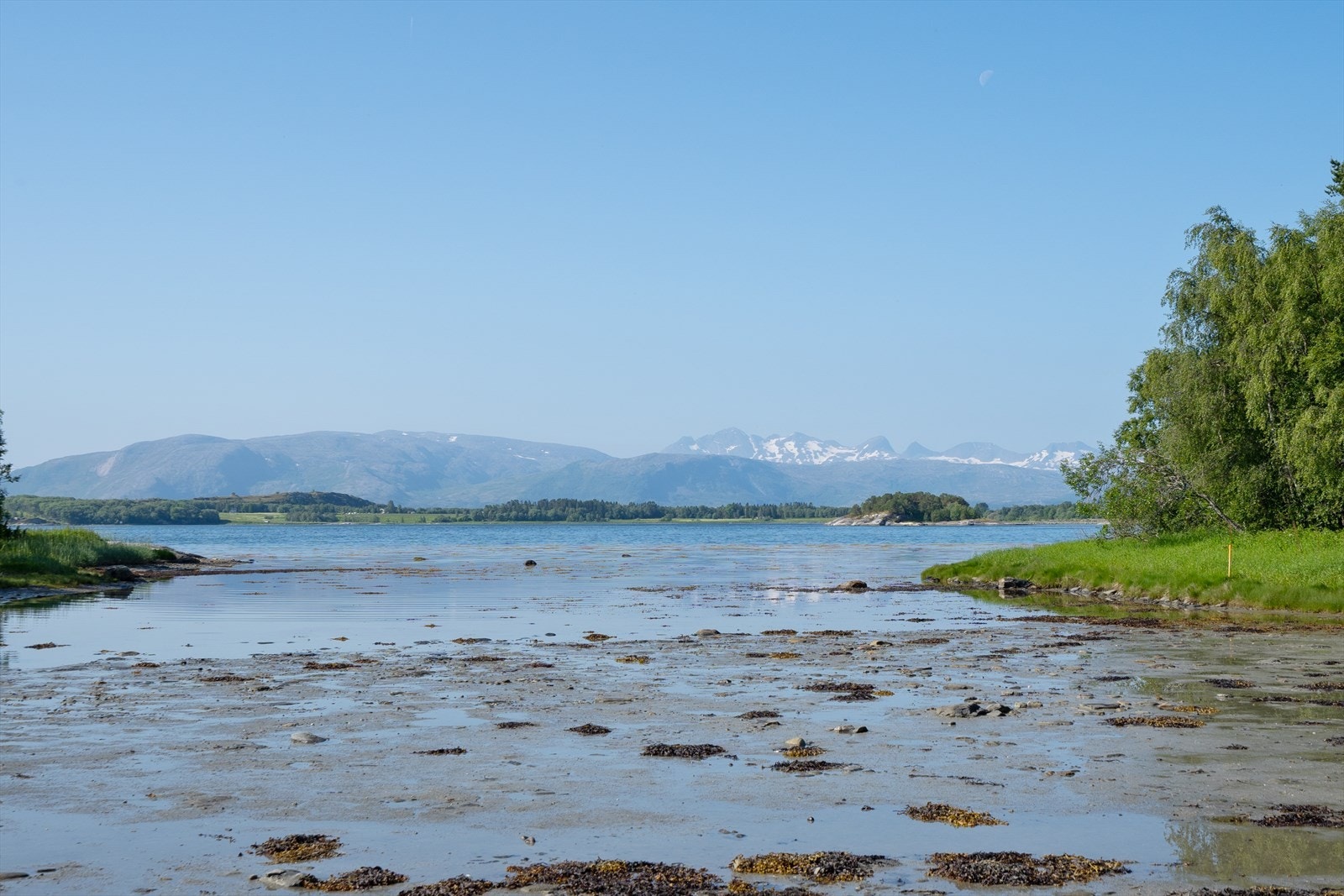 Finn roen med nydelig utsikt over deler av Mjønes, Mjønestindene, samt deler av Skjerstadfjorden. Galleribilde