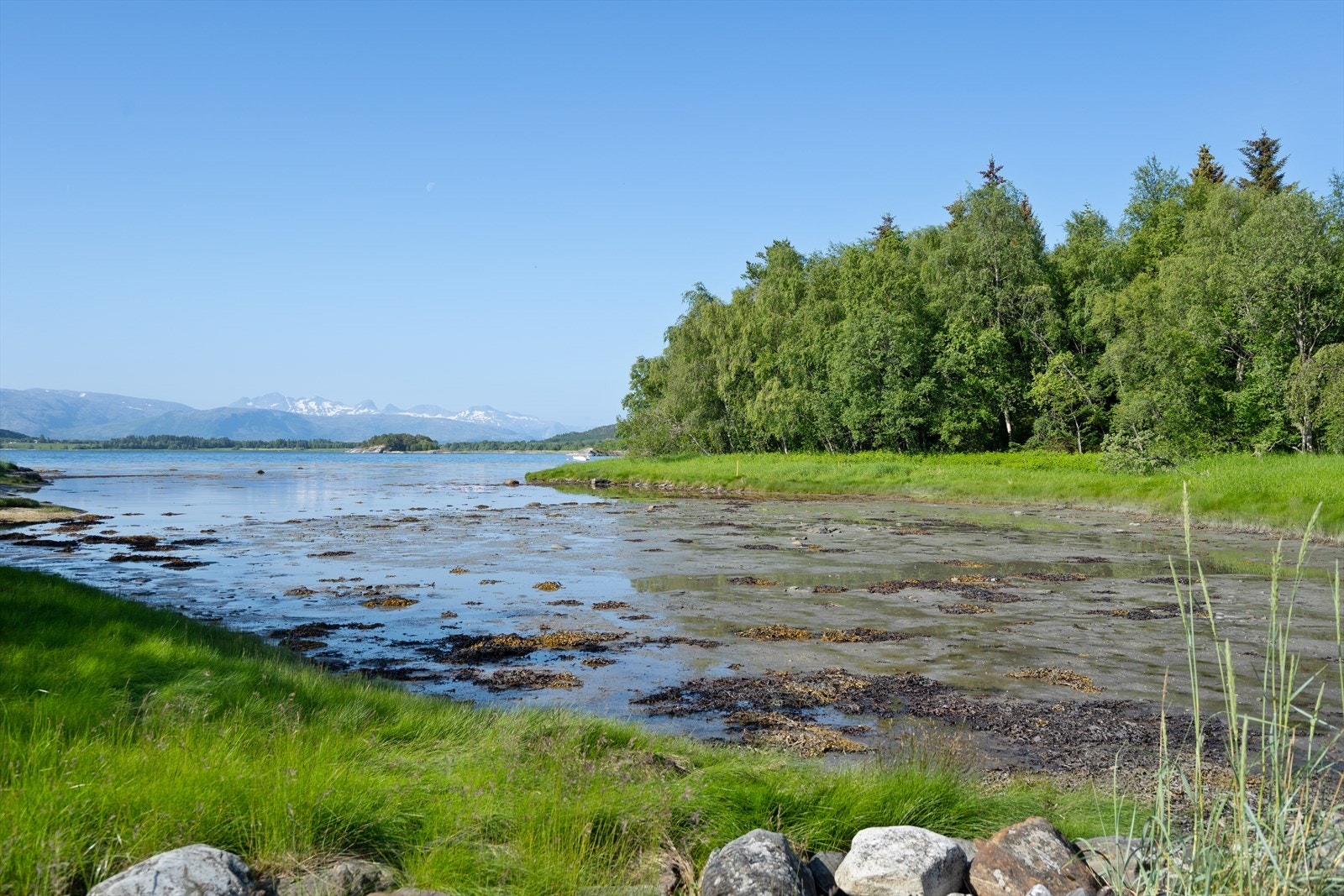 Her finner du Skjerstadfjorden som er en fiskerik fjord og har Nord-Europas største bestand av sjøørret. Galleribilde
