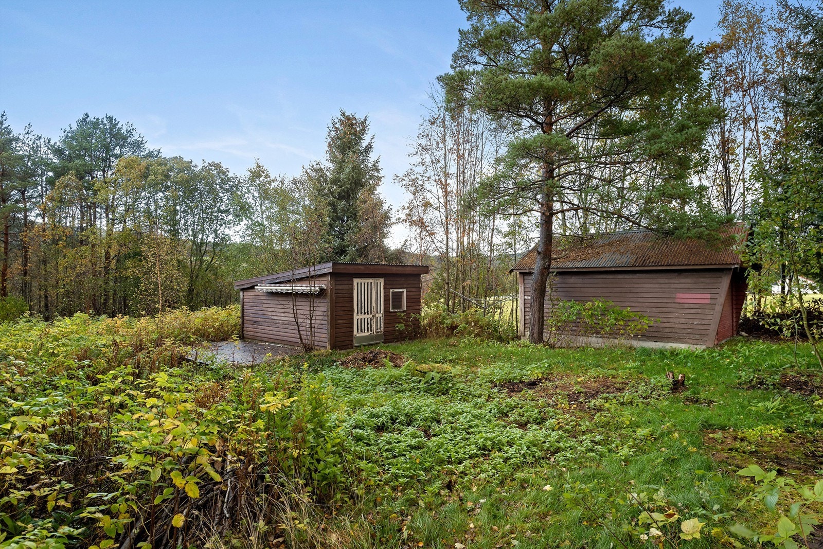 Tomta er tilnærmet naturtomt Galleribilde