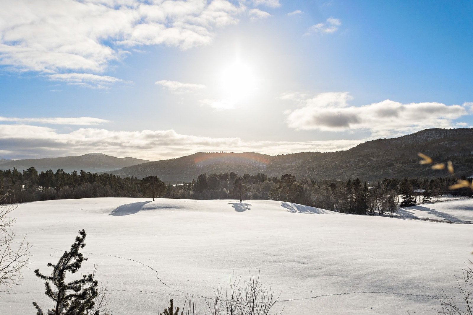 Omradebilde Galleribilde