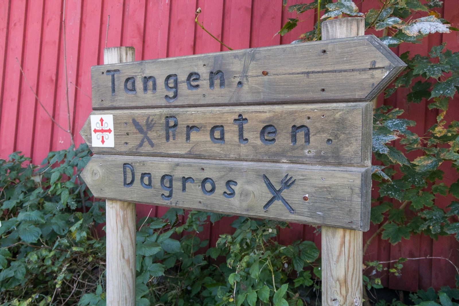 På øya finner du serveringsstedene Villa Veierland og Dagros kafe, en kirke, badestrender og mange fine turstier Galleribilde
