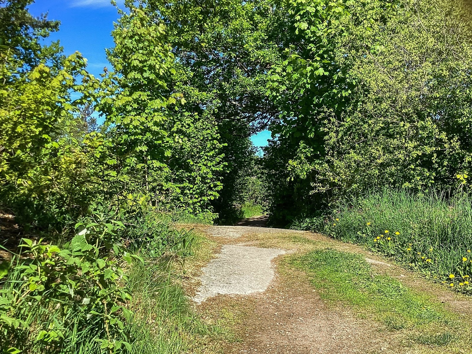 Idyll på øya - på vei til båtbeste på Lappegård Galleribilde