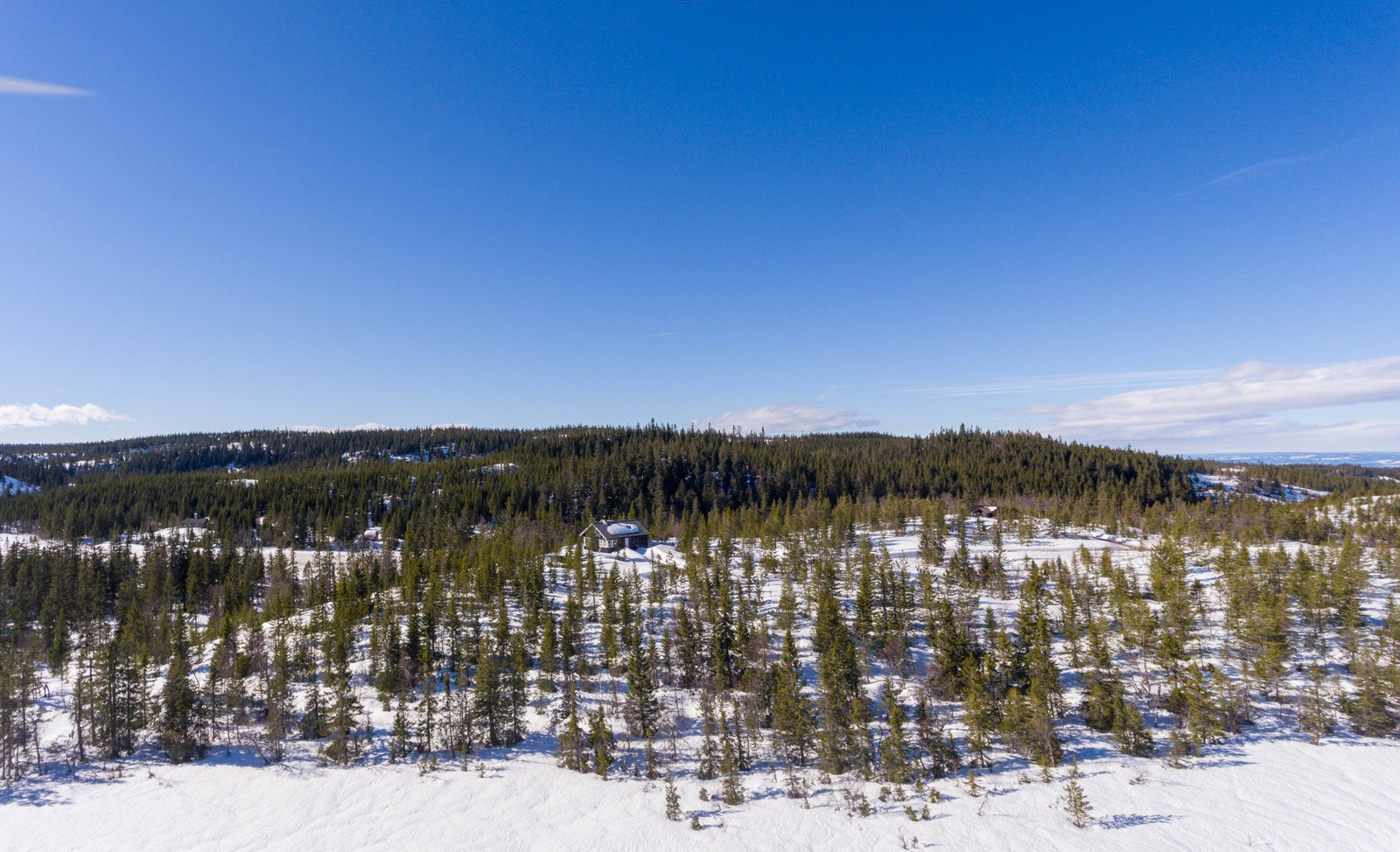 Velkommen til Fjæluhøgda hyttegrend! Galleribilde