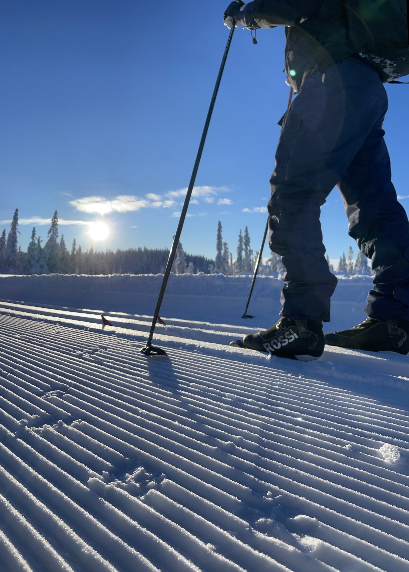 Foto: Toten Almenning Galleribilde