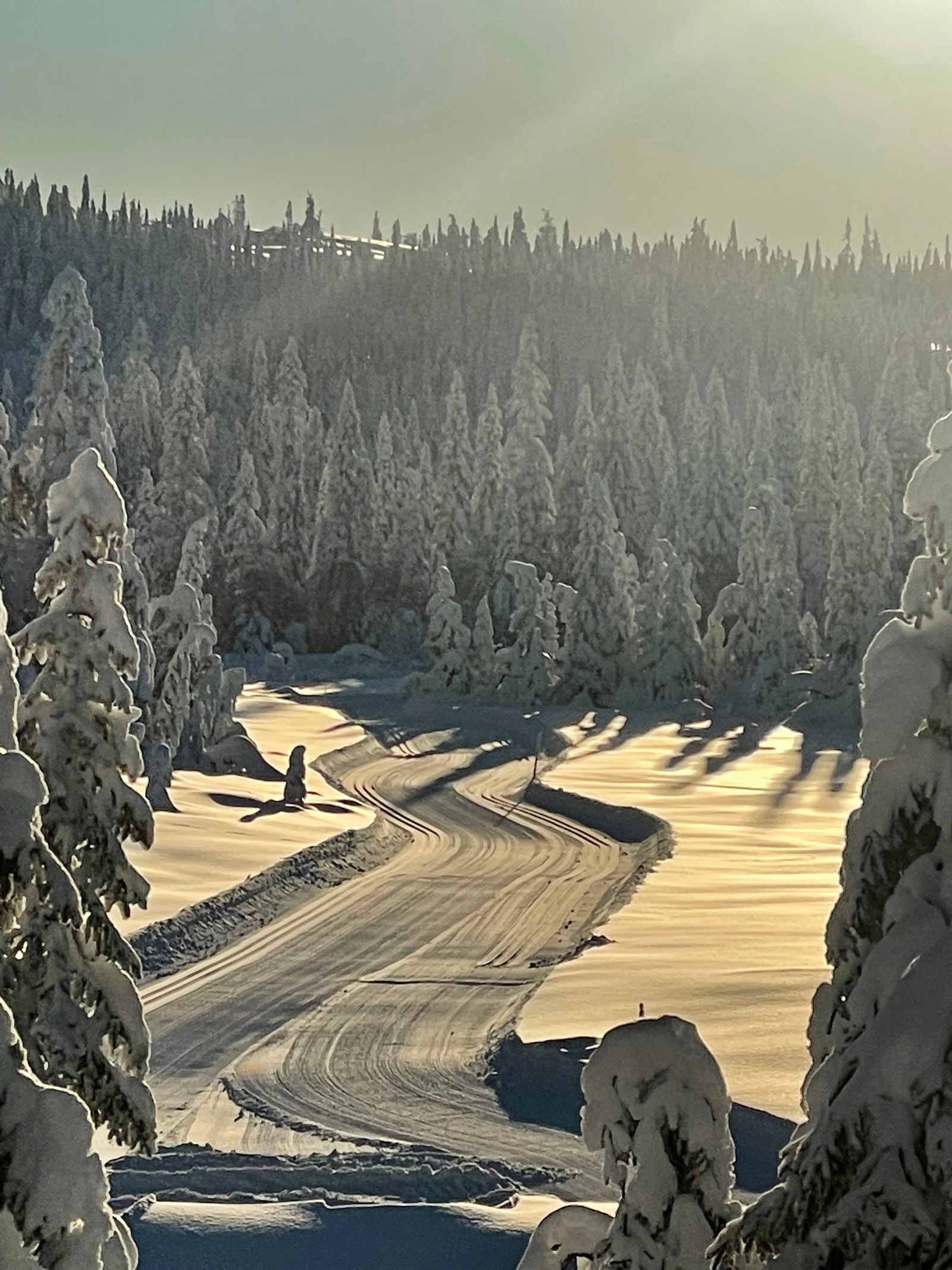 Spenn på deg skiene rett utenfor hytta i Fjæluhøgda hyttegrend. Foto: Toten Almenning Galleribilde