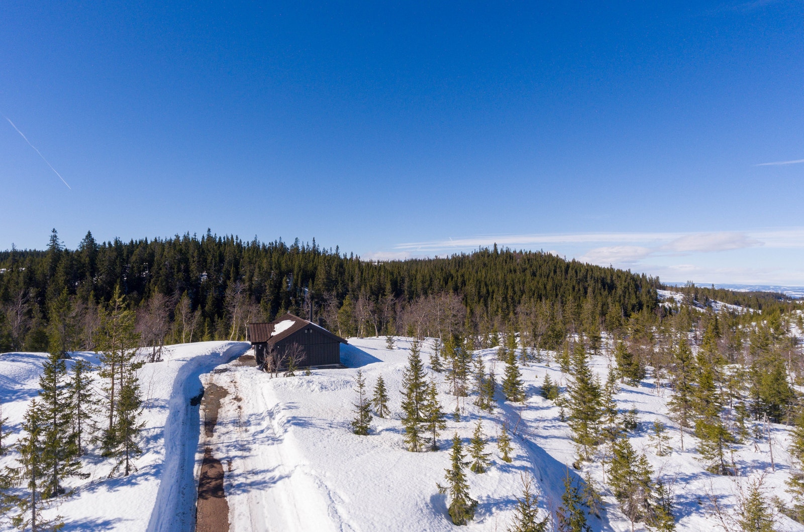 Du står fritt til å velge type hytte og utbygger i Fjæluhøgda hyttegrend Galleribilde