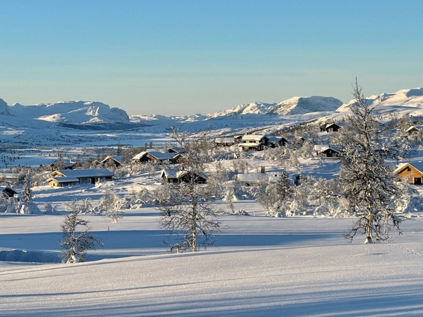 Fra tomtefeltet mot Jotunheimen vest Galleribilde