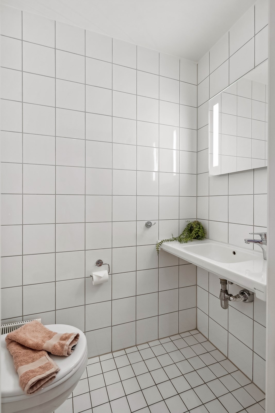 Gjestetoalett. Galleribilde