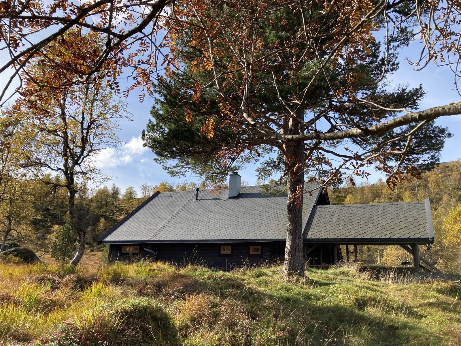 Langside med grillplass.jpg Galleribilde