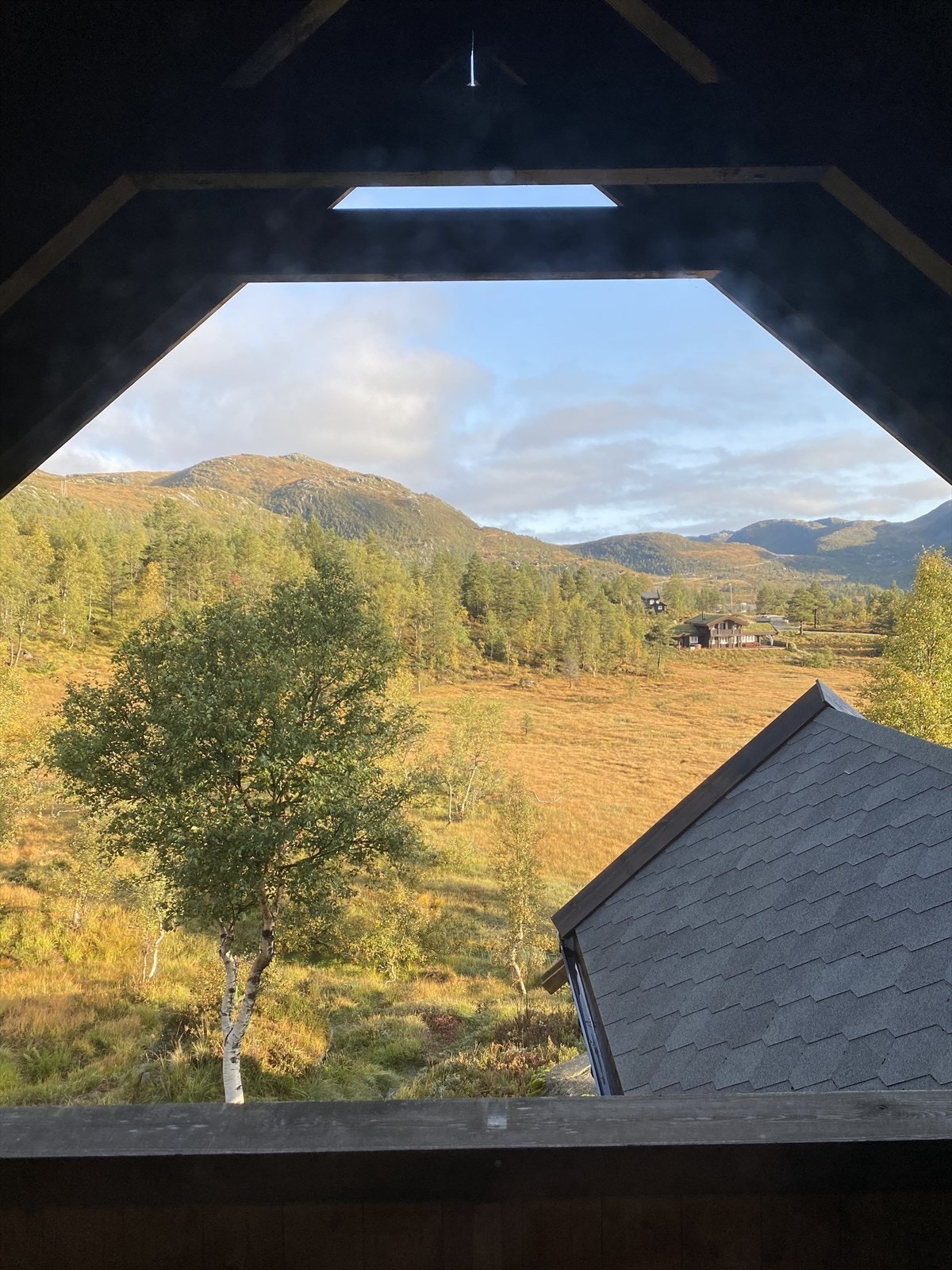 Vårbilde Galleribilde