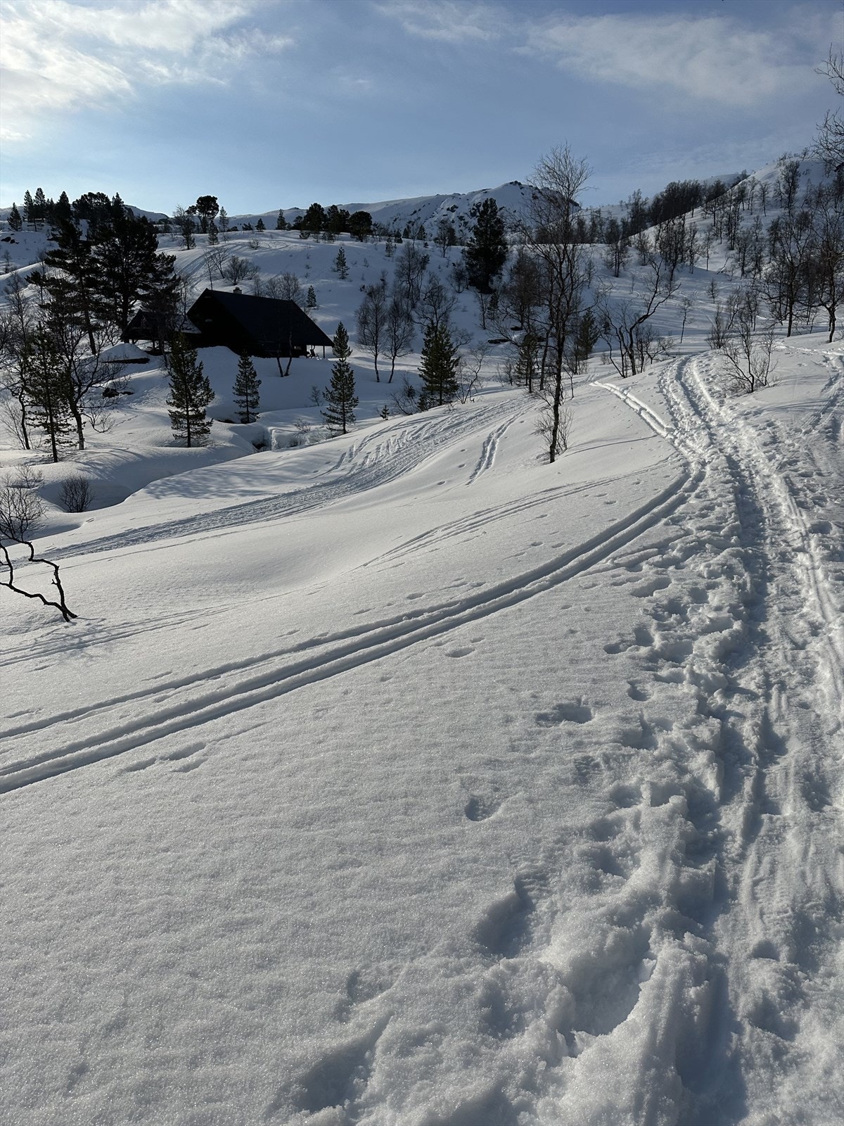 Vinterstemning Galleribilde