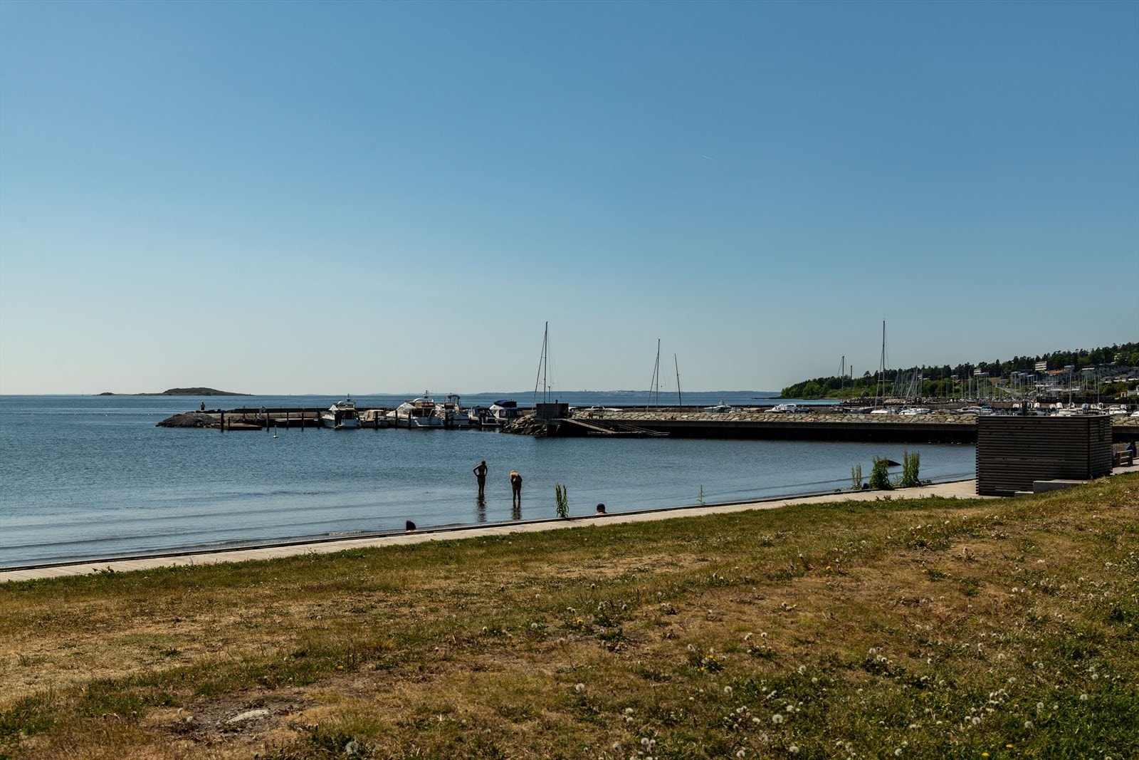 Bilde fra nærområdet Galleribilde