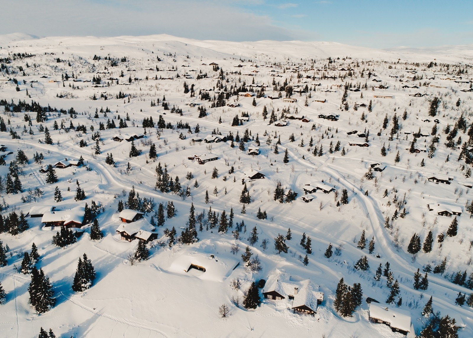 Nærområdet. Galleribilde