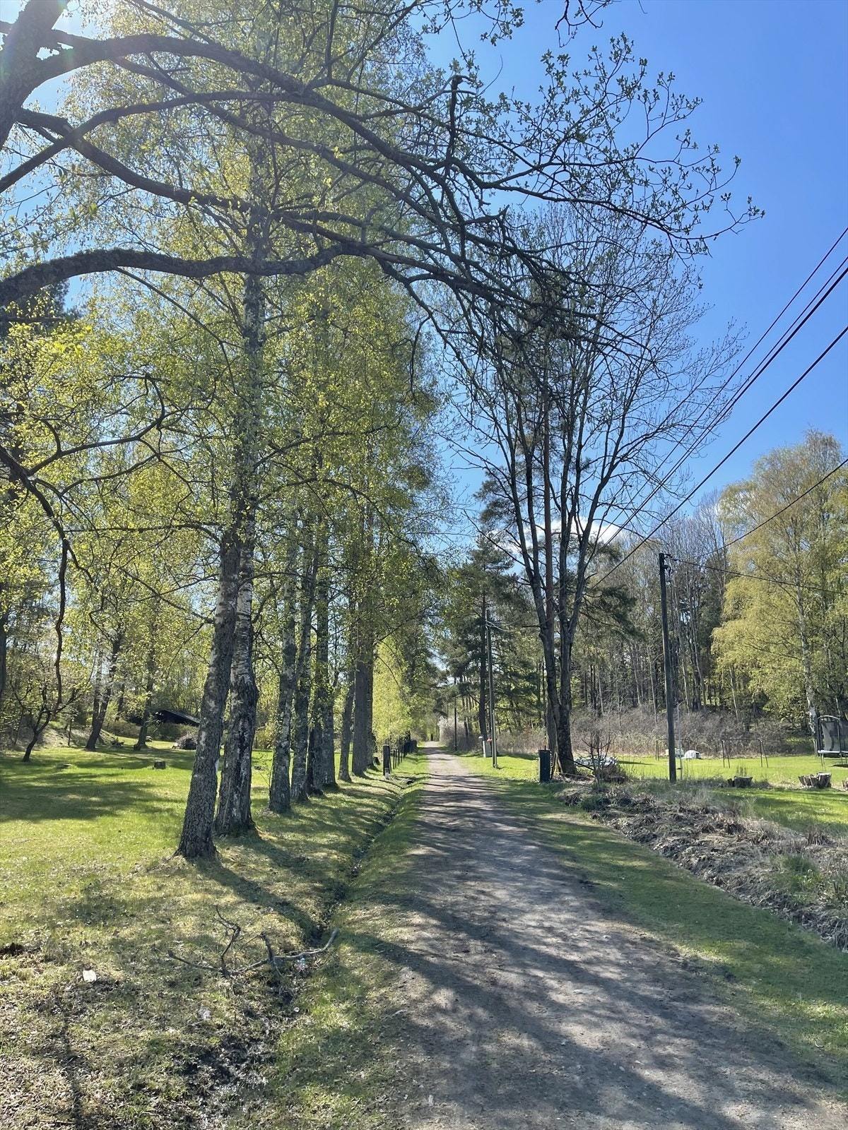 Koselige turstier i området som er godt vedlikeholdt Galleribilde