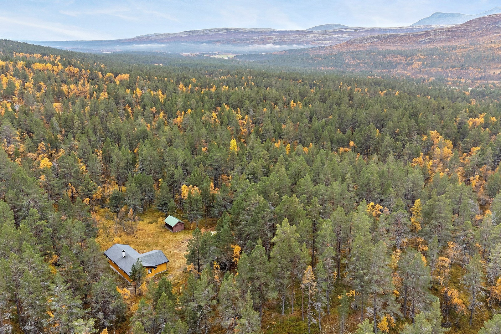 Dronebilde Galleribilde
