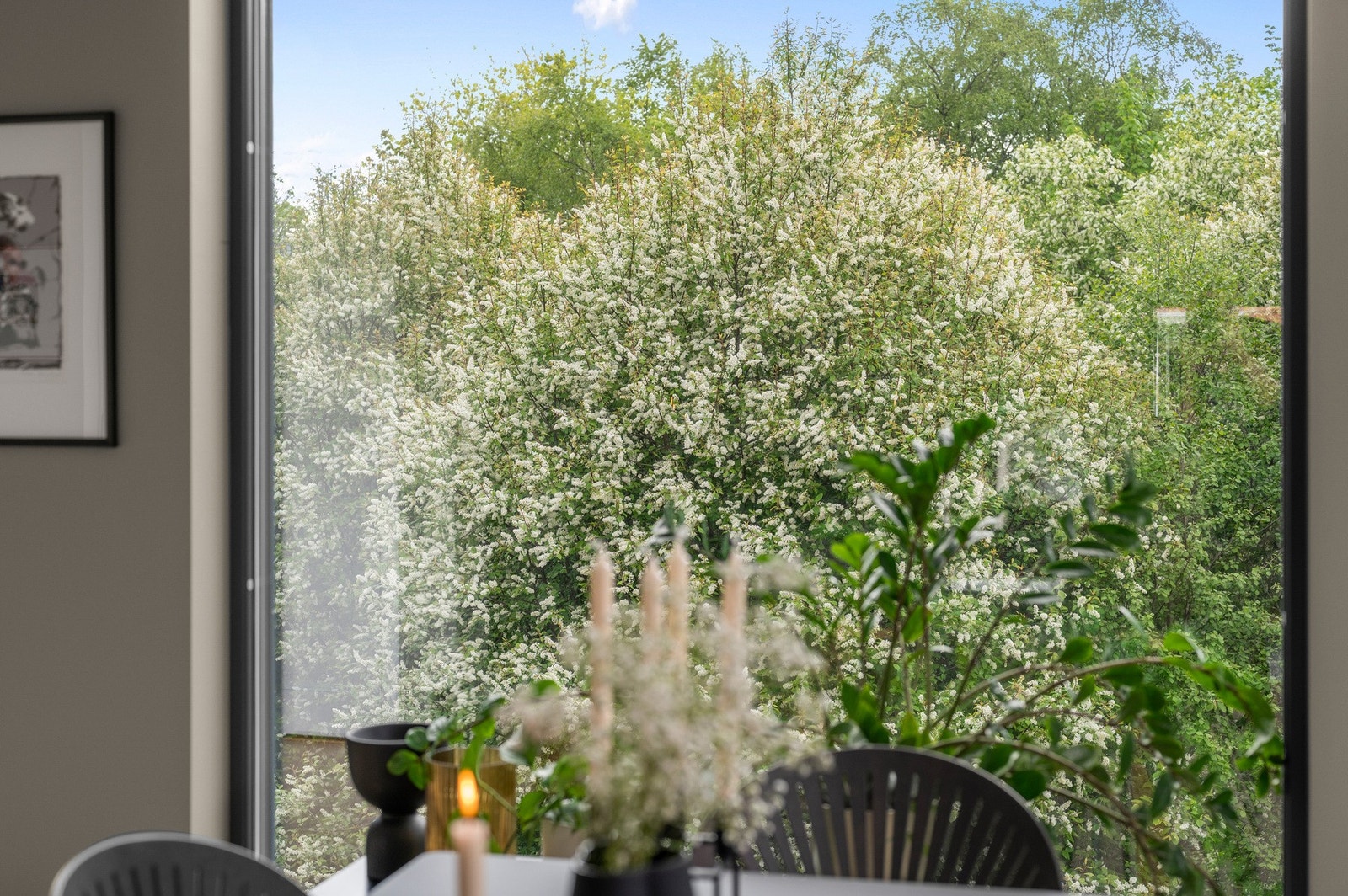 Huset er godt skjermet for innsyn og grenser mot et frodig friareal. Galleribilde