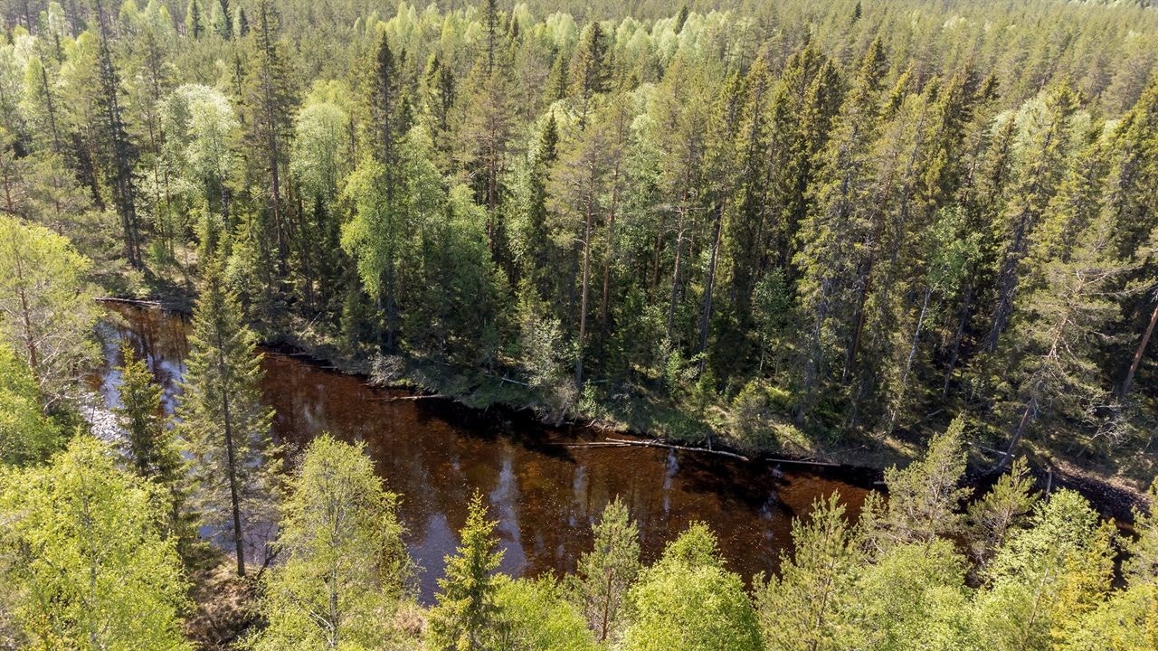 Fra eiendommen nede ved Rotna Galleribilde