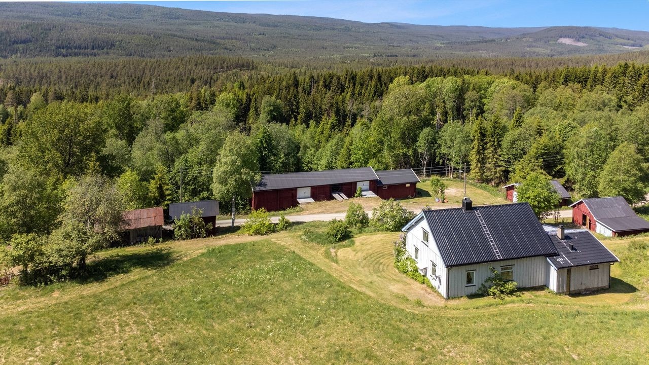 Tunet ligger midt inne i Finnskogens trolske skoger Galleribilde