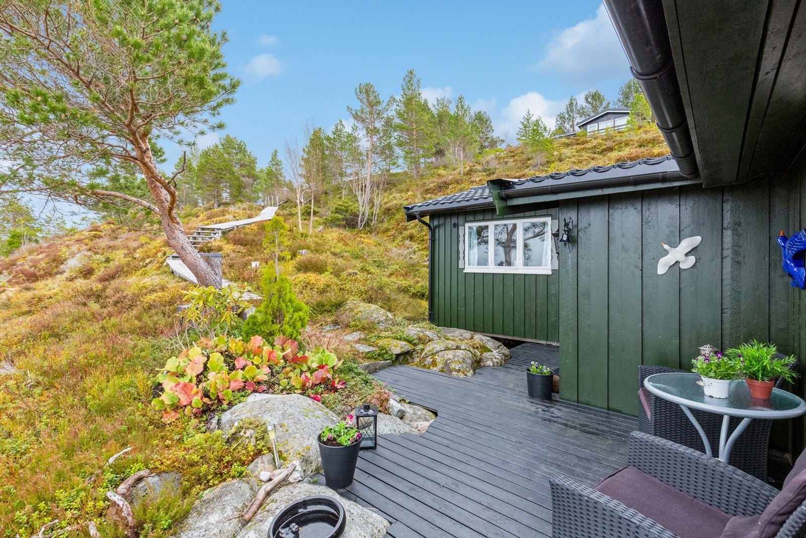 Området har flotte naturopplevelser som kan utforskes både til sjøs og på land gjennom hele året. Galleribilde