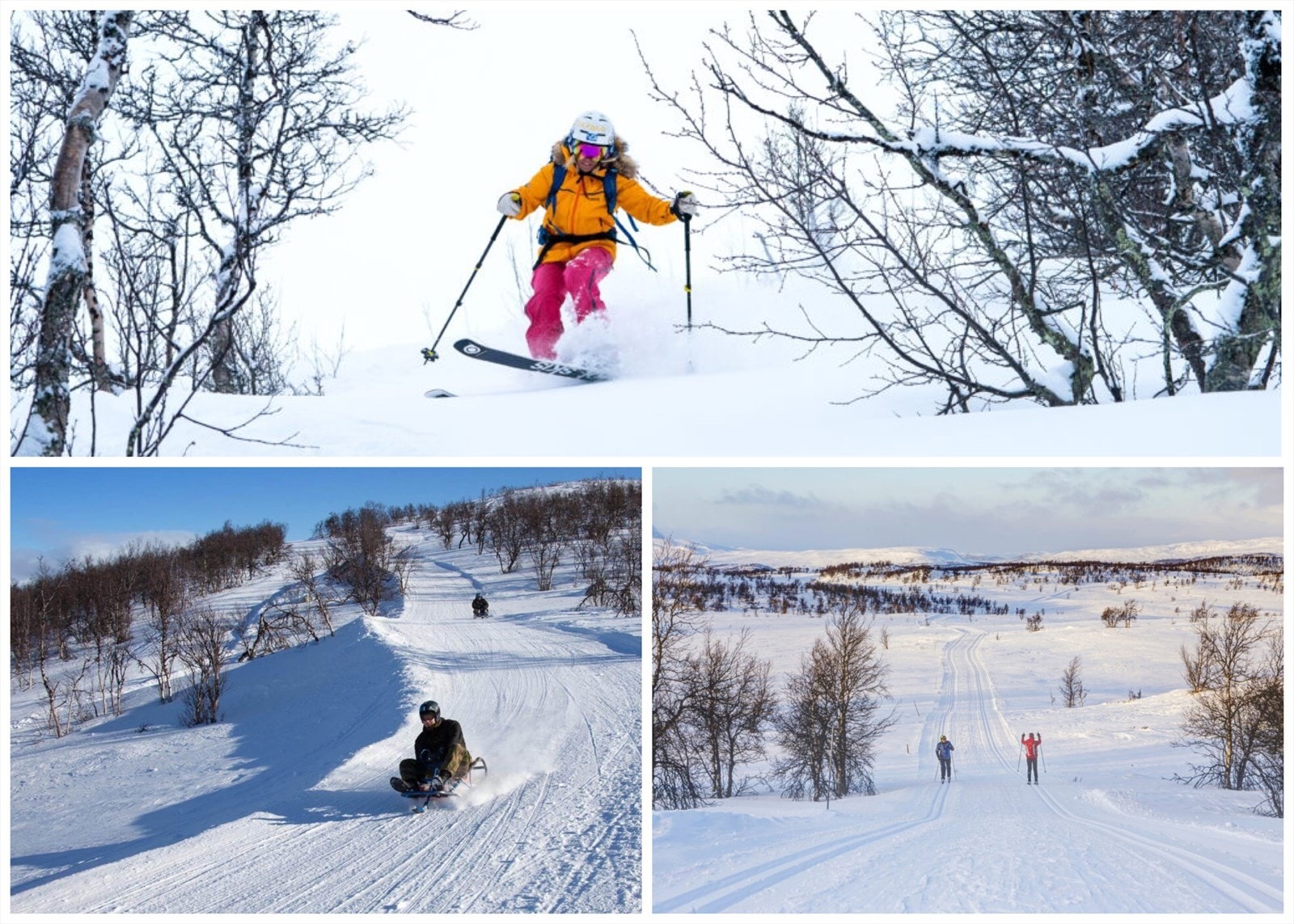 Vinteraktiviteter! Flotte alpinmuligheter i både Uvdal og Dagali. Norges lengste kjelkebakkefinner på Dagali. Langrennsløyper på Dagalifjell. Foto: Dagali Fjellpark Galleribilde